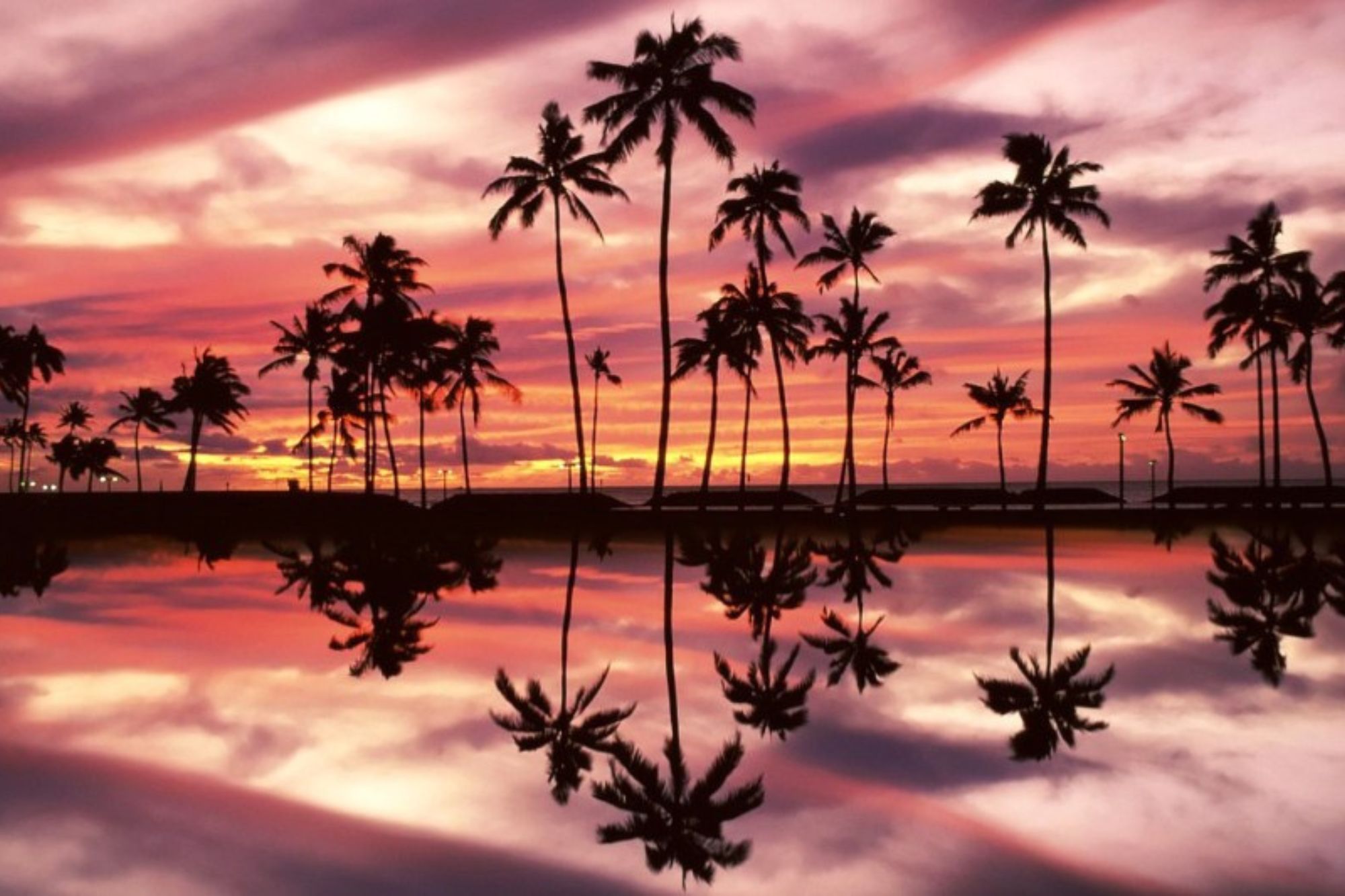 Bali Seminyak Beach Sunset Trees | Bali, Indonesia